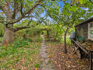 Photo 21- click for photo gallery